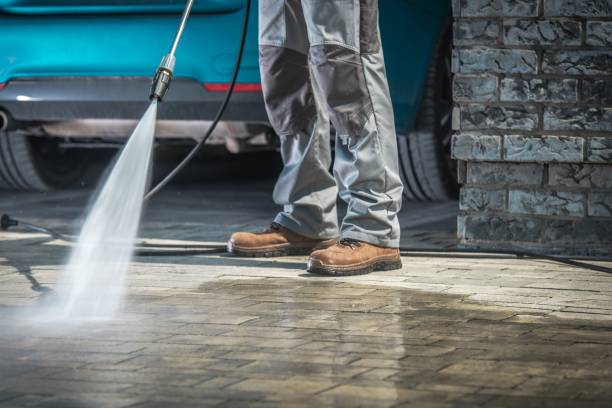 Best Soft Washing for Delicate Surfaces in Valley Stream, NY